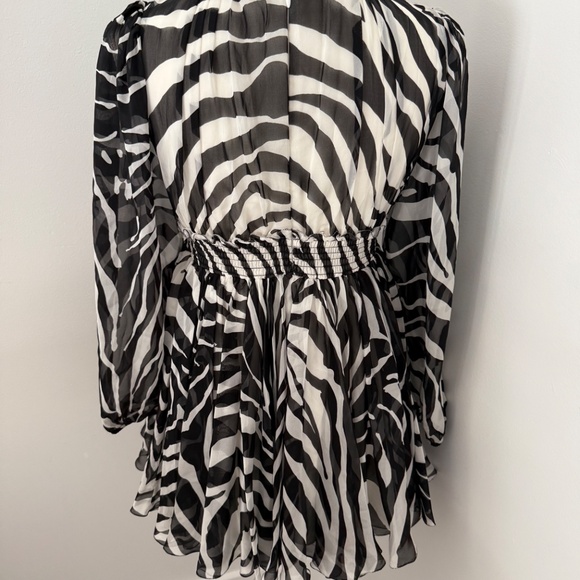 Dolce & Gabbana Zebra Print Silk Chiffon Mini Dress Evening Cocktail Designer - Picture 7 of 12